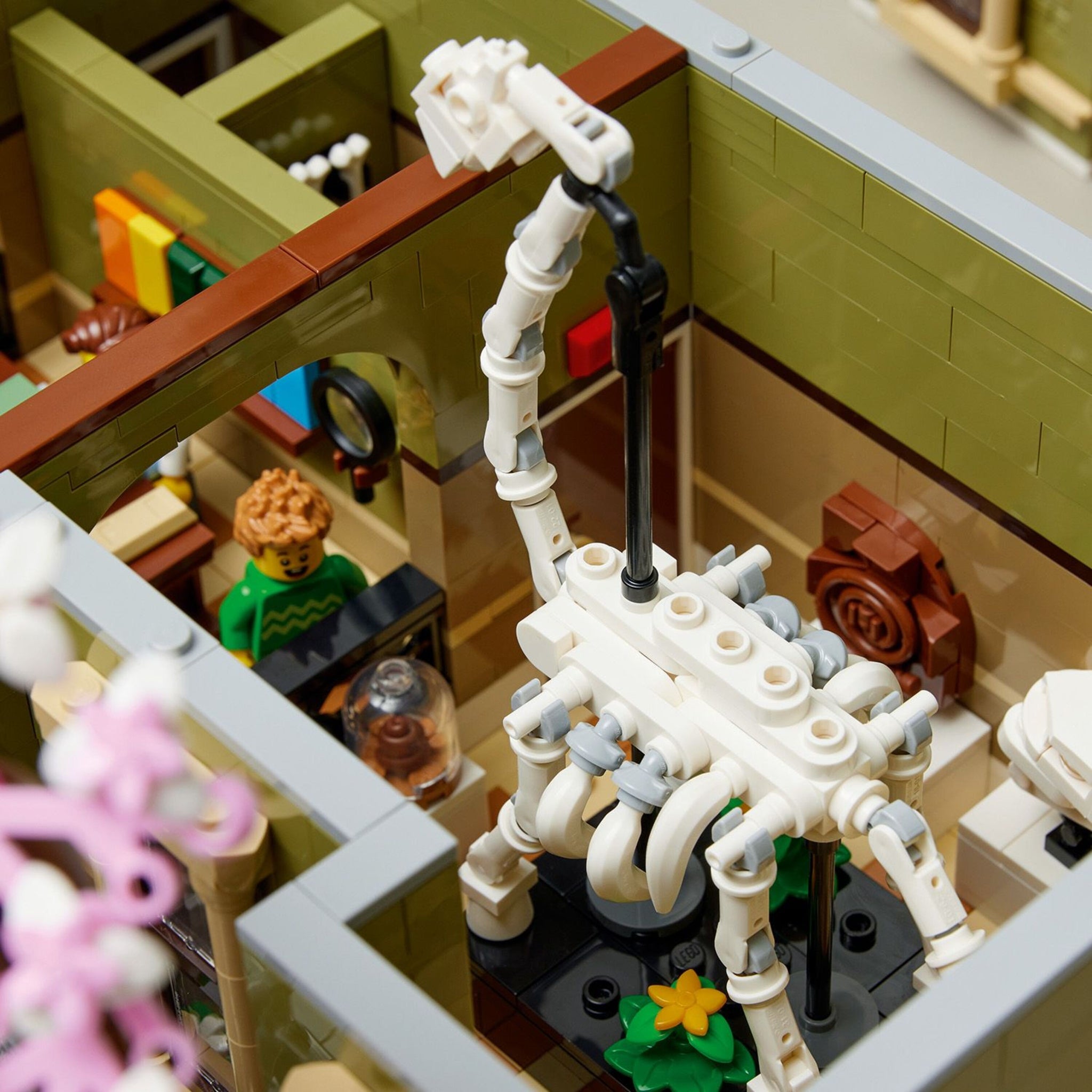 LEGO Icons Natural History Museum 10326 Building Set – lego