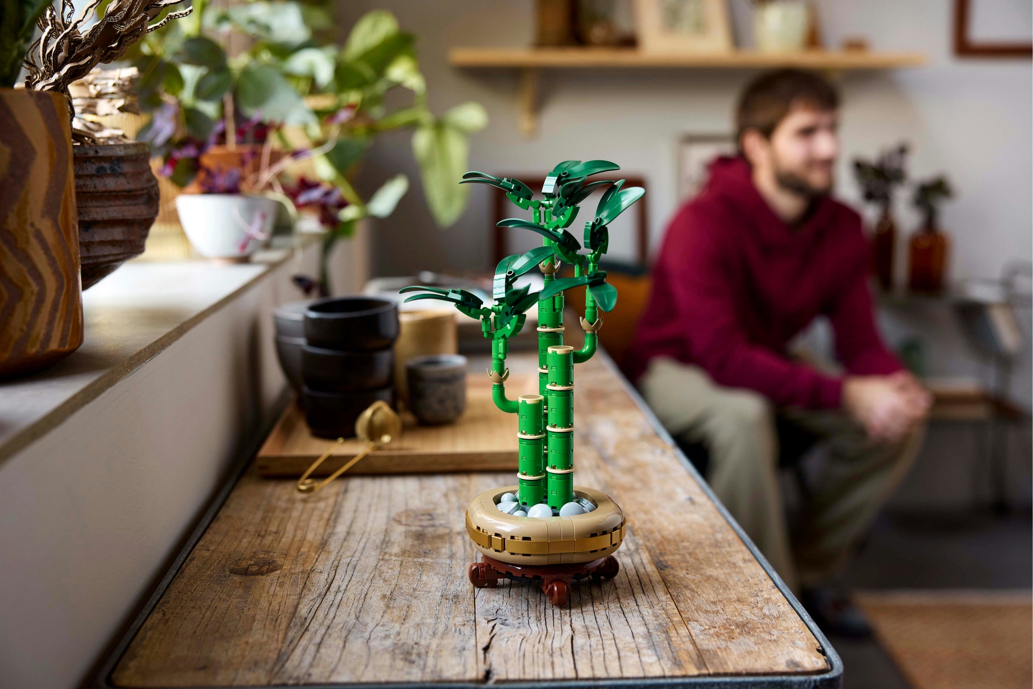 LEGO Botanicals Lucky Bamboo Plant Decor 10344 Botanical Set