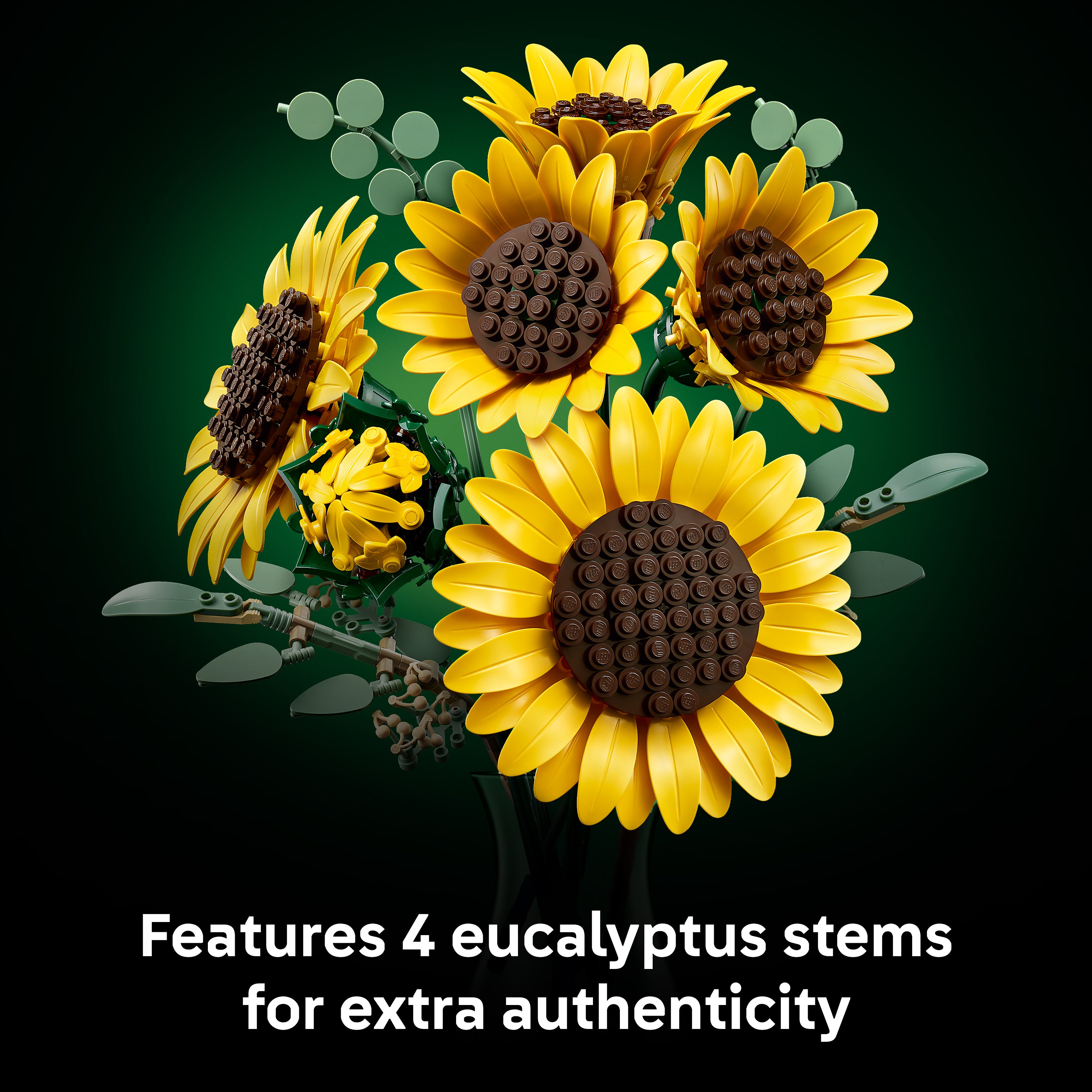 product aplus image