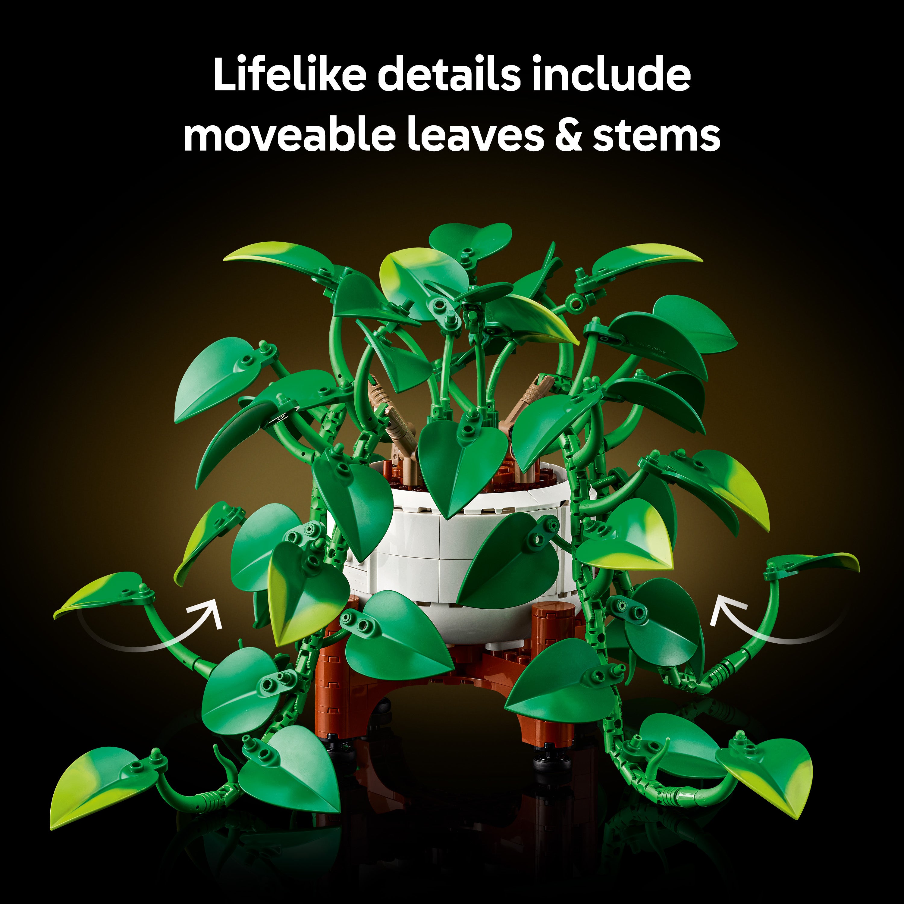 product aplus image