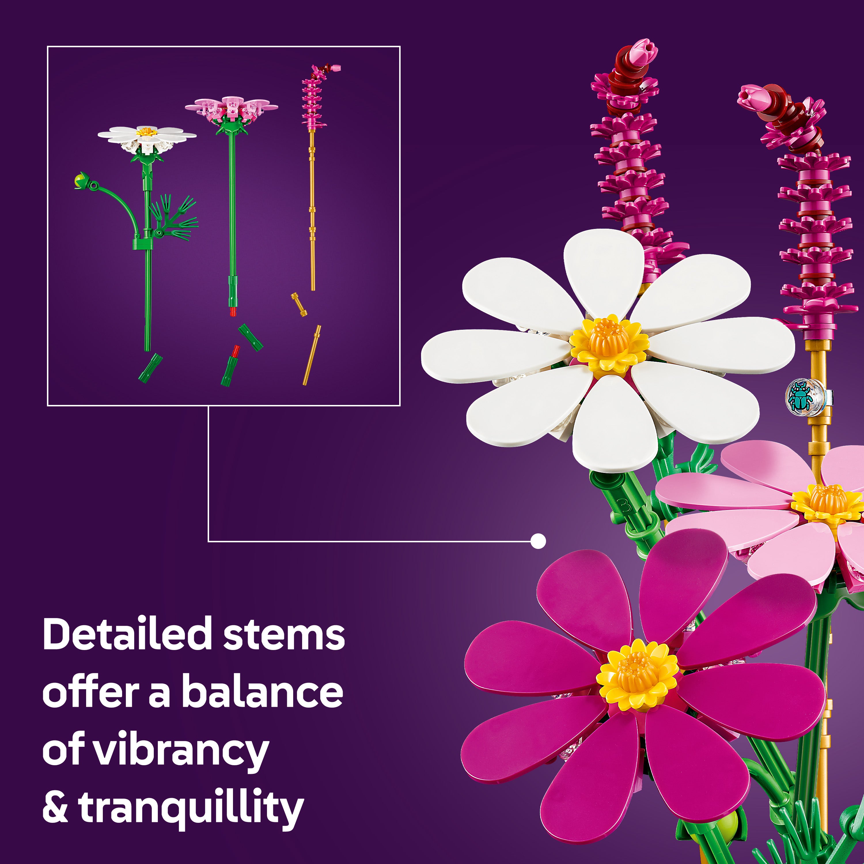 product aplus image
