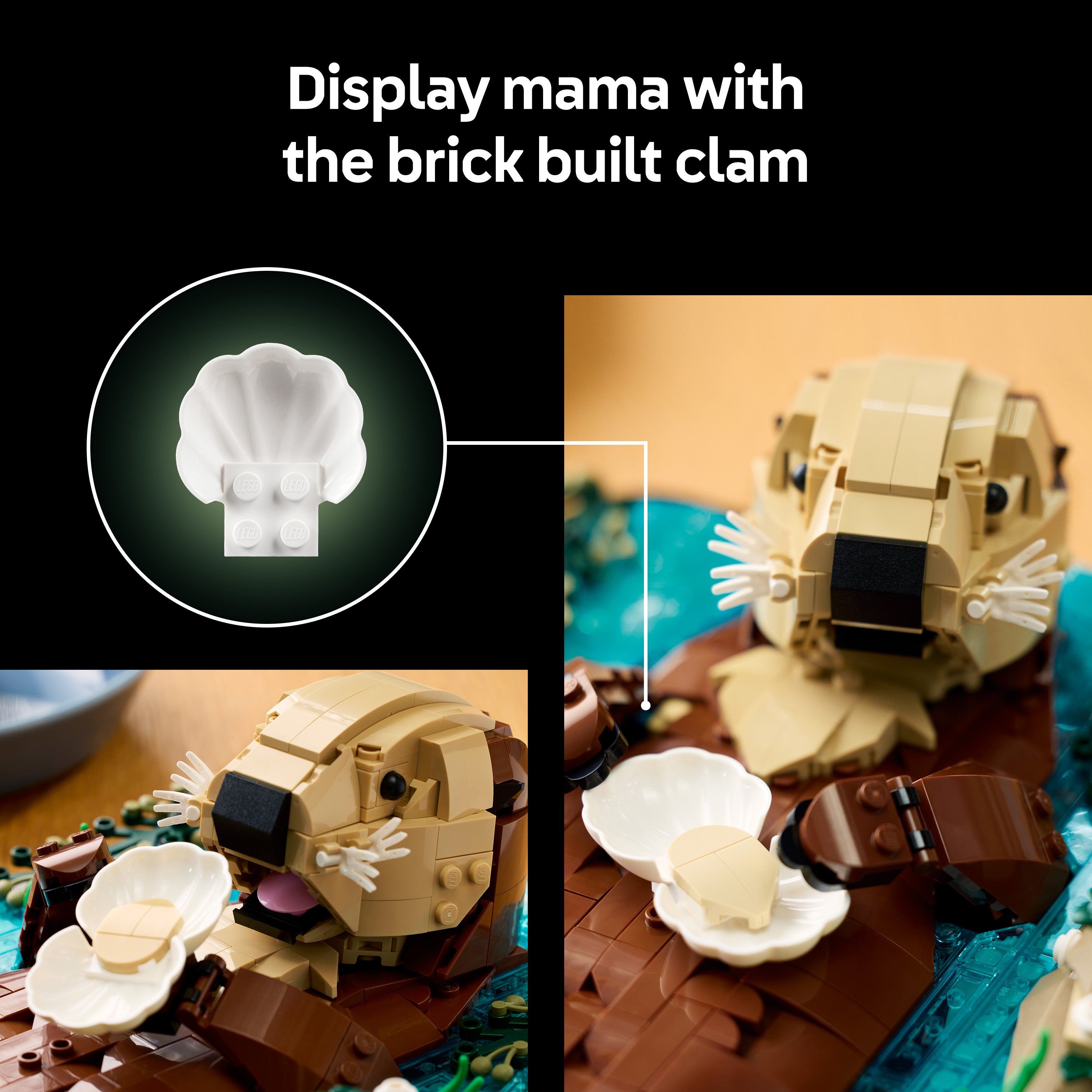 product aplus image