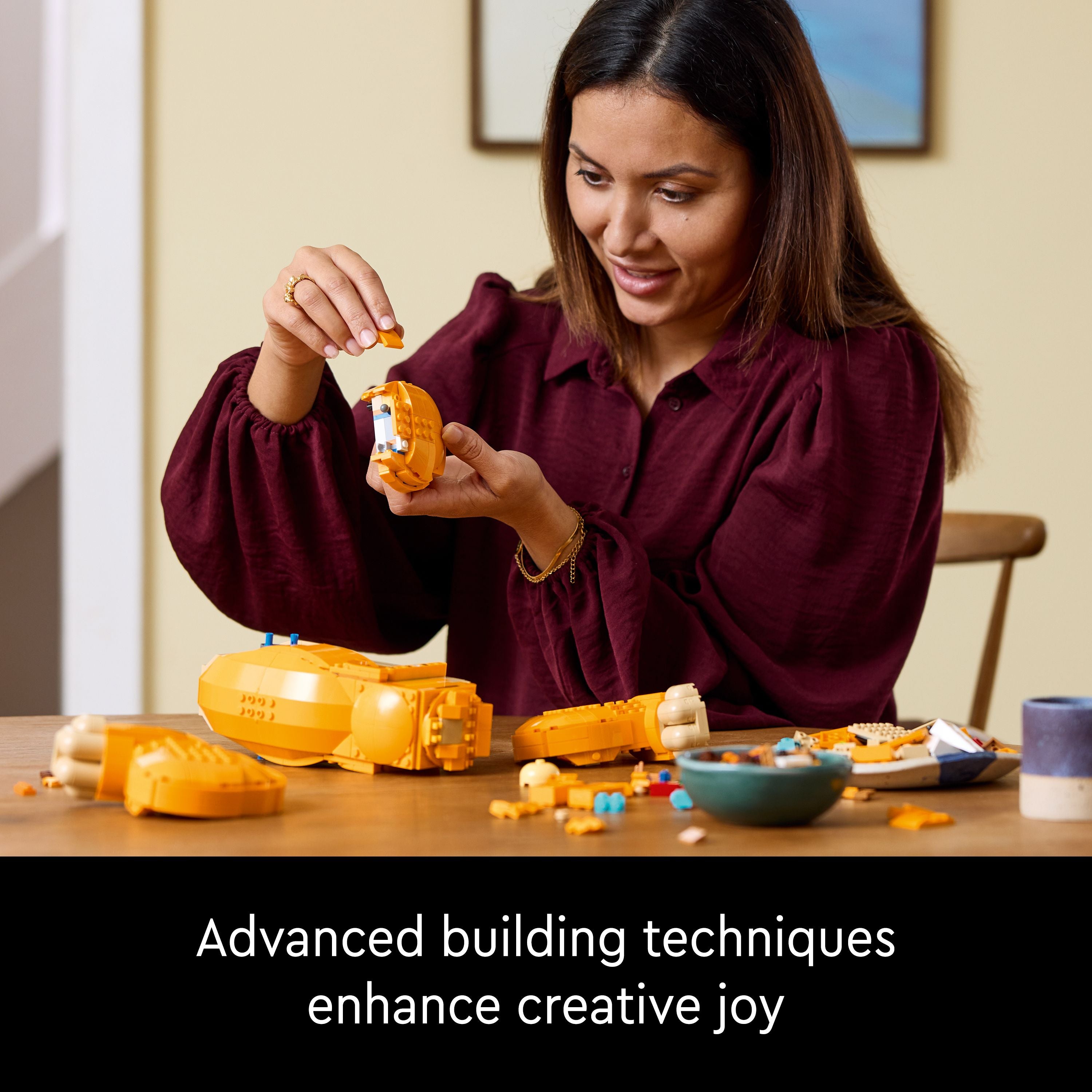 product aplus image