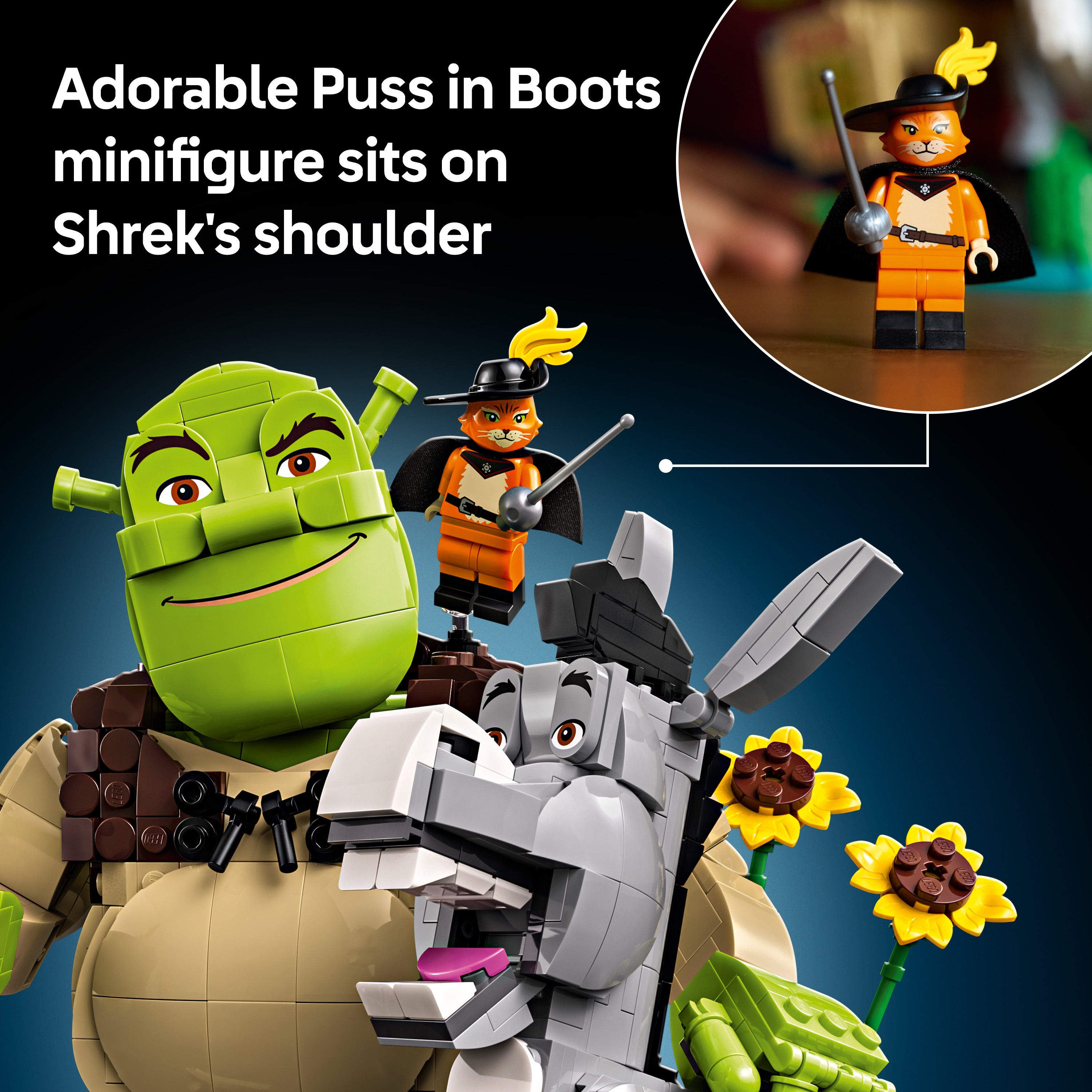 product aplus image